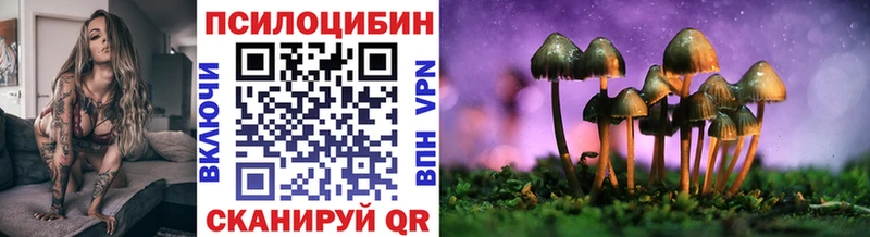 Галлюциногенные грибы MAGIC MUSHROOMS  где купить наркоту  Тюмень 